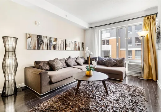 Condo à vendre - 1248 Av. de l'Hôtel-de-Ville, App. 503, Montréal (Ville-Marie), H2X 0B2