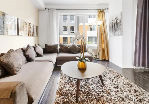 Condo à vendre - 1248 Av. de l'Hôtel-de-Ville, App. 503, Montréal (Ville-Marie), H2X 0B2