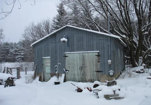 Maison à vendre - 509 Route 116, Acton Vale, J0H 1A0