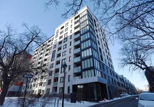Condo à vendre - 1170 Rue Montcalm, App. 105, Montréal (Ville-Marie), H2L0M2