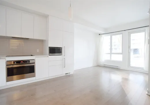 Condo à vendre - 1170 Rue Montcalm, App. 105, Montréal (Ville-Marie), H2L 0M2