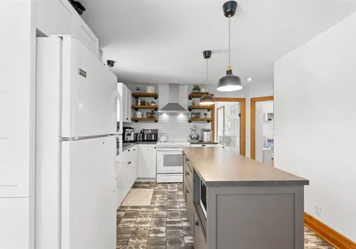 Maison à vendre - 1750 Mtée Kavanagh, Mont-Tremblant, J8E 2P3