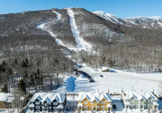 Maison à étages à vendre - 4923 Ch. du Parc, Orford, J1X7N9