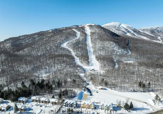 Maison à vendre - 4923 Ch. du Parc, Orford, J1X 7N9