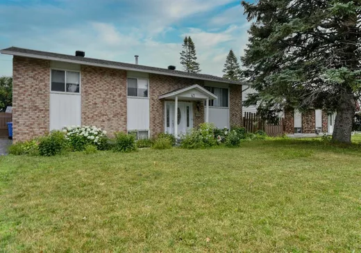 House for sale - 47 Rue Birkdale, Dollard-Des Ormeaux (Montreal Island), H9G 2P2