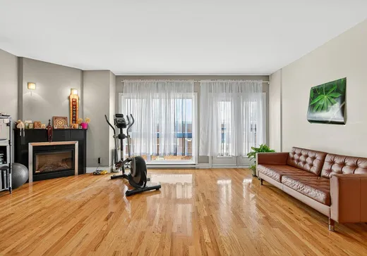 Condo for sale - 3925 Av. du Mont-Royal E., Montreal (Plateau-Mont-Royal), H1X 1Y2