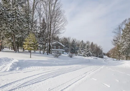 Maison à vendre - 10 Ch. Montplaisir, Magog, J0B 2C0