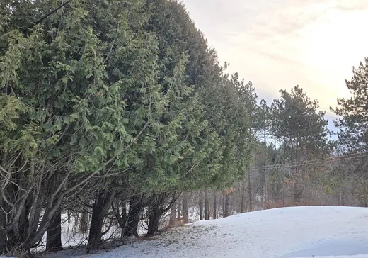 Maison à vendre - 246 Av. Centrale S., Stratford, G0Y 1P0