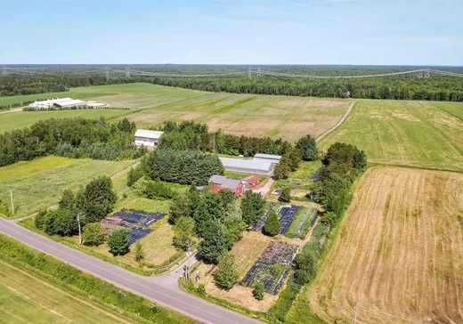 Fermette à vendre - 361X Ch. de la Grosse-Île, Laurierville, G0S 1P0