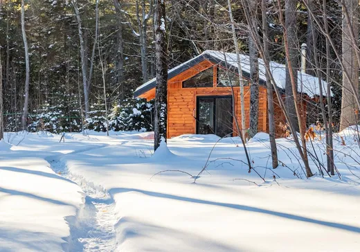 Maison à vendre - 1201 Ch. du Domaine-Samson, St-Élie-de-Caxton, G0X 2N0