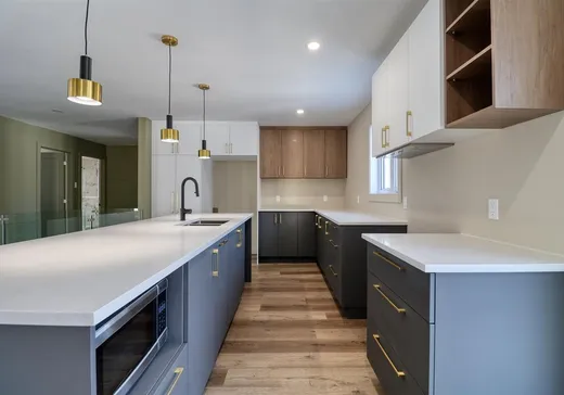 House for sale - 3755 Boul. Jean-De Brébeuf, St-Nicephore, J2A 3K3