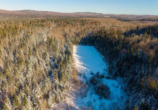 Maison à vendre - 110 Route 212, Notre-Dame-Des-Boies, J0B 2E0