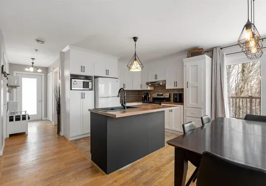 Maison à vendre - 19 Ch. de la Fleur-de-Lune, Saint-Sauveur, J0R 1R1