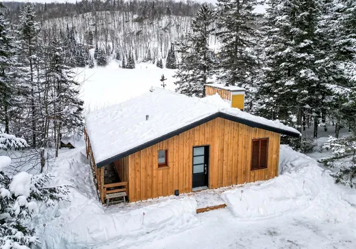 Maison à vendre - 727 Ch. de Courchevel, St-Adolphe d'Howard, J0T 2B0