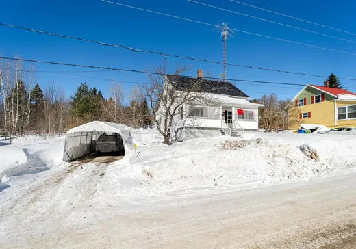 Maison à vendre - 14 Av. Roy, St-Joseph-De-Coleraine, G0N 1B0
