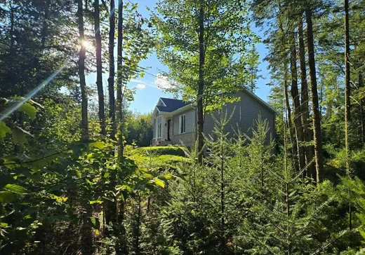 Maison à vendre - 748 Rg de la Carrière, Saint-Raymond, G3L 2R2