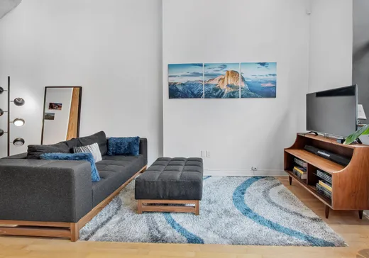 Condo à vendre - 4530 Rue Clark, Montréal (Plateau-Mont-Royal), H2T 2T4