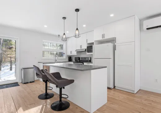 House for sale - 1070 Rue Huguette, Saint-Norbert, J0K 3C0