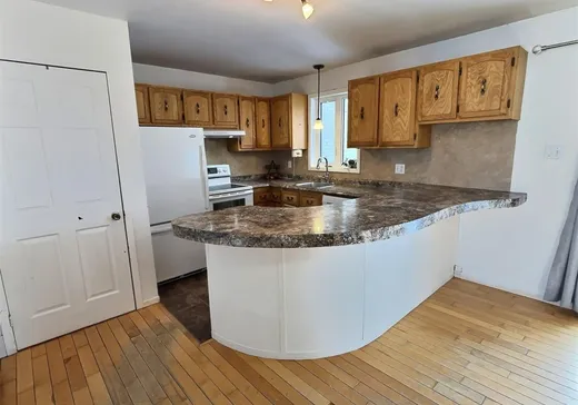 Maison à vendre - 545 Rue Principale, Saints-Martyrs-Canadiens, G0P 1A0