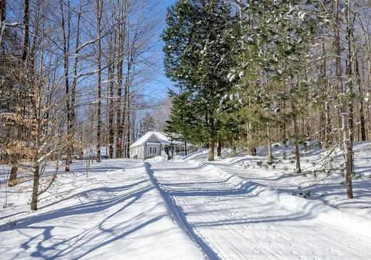 Maison à vendre - 725 Ch. du Boisé, Sutton, J0E 2K0