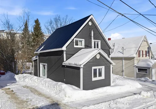 House for sale - 175 Rue Plaisance, Cookshire-Eaton, J0B 1M0