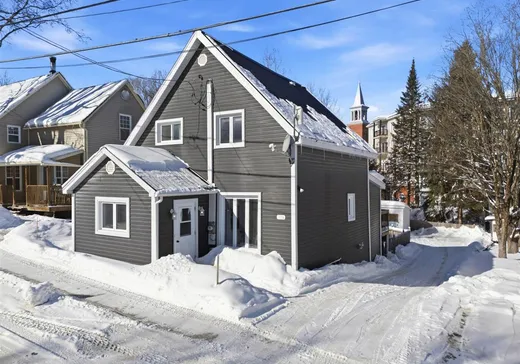 House for sale - 175 Rue Plaisance, Cookshire-Eaton, J0B 1M0