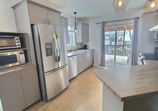 Maison à vendre - 176 Rue Marthe-Lemaire, Victoriaville, G6T 0M5