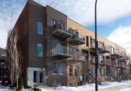 Condo for sale - 5325 Rue St-Denis, App. 201, Montreal (Plateau-Mont-Royal), H2J2M4