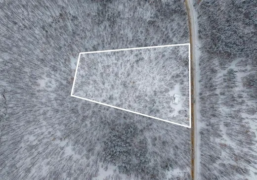 Maison à vendre - 1877 Ch. du Lac-Sauvage, Mont-Blanc, J0T 2G0