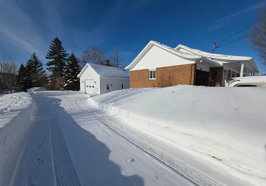 Maison à vendre - 199 Rue Roy, Lac-Etchemin, G0R 1S0