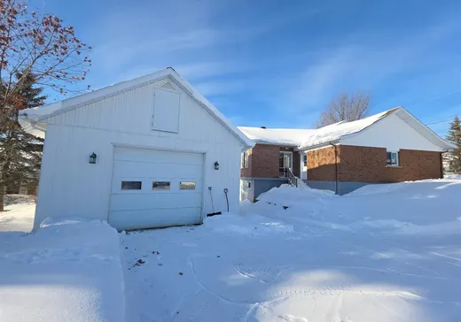 Maison à vendre - 199 Rue Roy, Lac-Etchemin, G0R 1S0