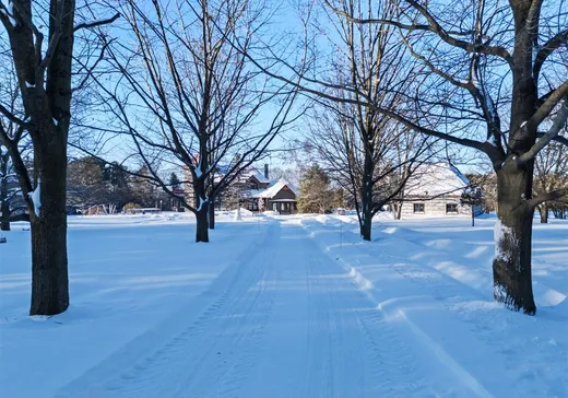 Maison à vendre - 650 Rg du Haut-de-la-Rivière, Pierreville, J0G 1J0