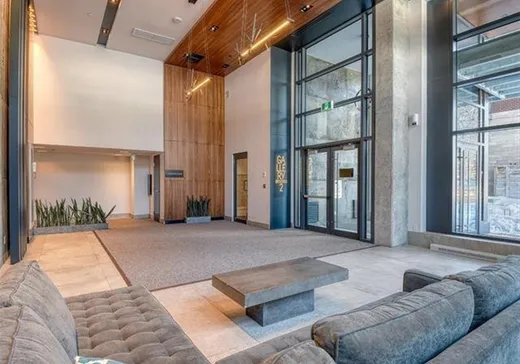 Condo à vendre - 1330 Rue Olier, App. 703, Montréal (Centreville), H3C 0T3