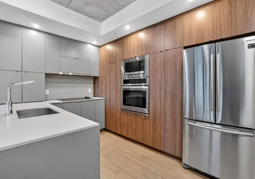 Condo à vendre - 1330 Rue Olier, App. 703, Montréal (Centreville), H3C 0T3