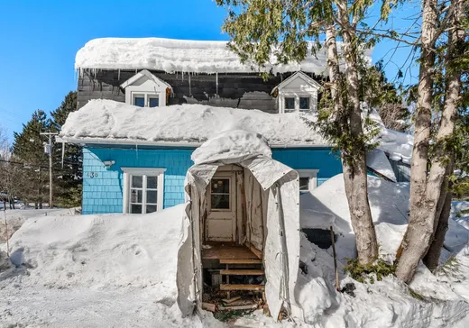 Maison à vendre - 430 Rg Ste-Marie, St-Ferreol-les-Neiges, G0A 3R0