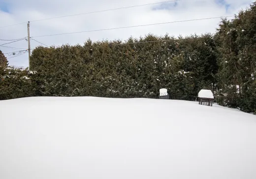 Maison à vendre - 26 Rue Bernier, Plessisville, G6L 4E1