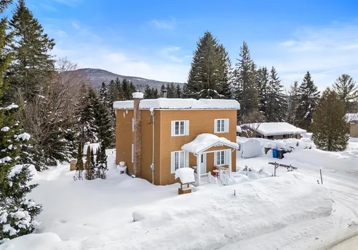 Maison à vendre - 159 1re Avenue, Stoneham, G3C 0L7