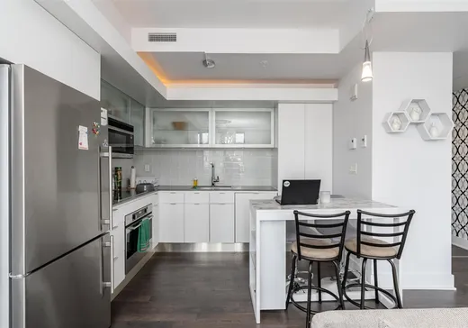 Condo à vendre - 1340 Rue Olier, App. 1001, Montréal (Centreville), H3C 0L9