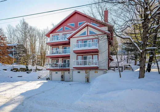 Condo à vendre - 138 Ch. Duhamel, Sutton, J0E2K0