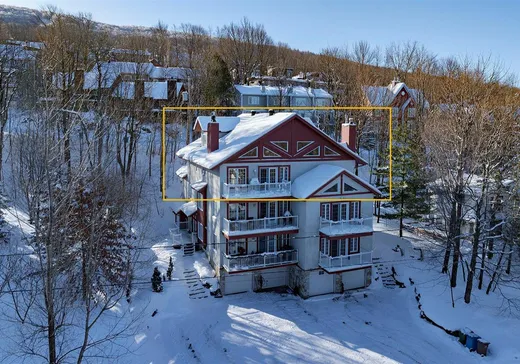 Condo à vendre - 138 Ch. Duhamel, Sutton, J0E 2K0