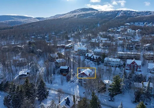 Condo à vendre - 138 Ch. Duhamel, Sutton, J0E 2K0