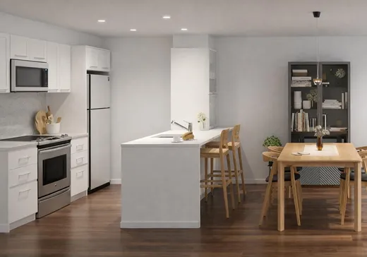 Condo for sale - 6836-6848 Rue Marquette, App. 2, Montreal (Rosemont–La Petite-Patrie), H2G 2Y8