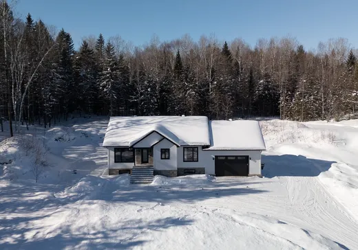 Maison à vendre - 2005 Ch. du 8e-Rang S., Mont-Laurier, J9L 0V2