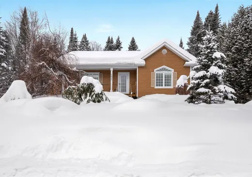 Maison à vendre - 1621 Ch. de Ste-Lucie, Ste-Lucie, J0T 2J0