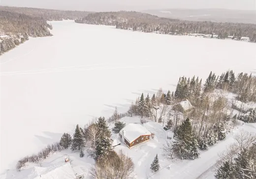 Maison à vendre - 254 Ch. du Lac-du-Gros-Brochet, L'Ascension, J0T 1W0