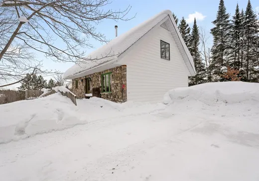 Maison à étages à vendre - 31 Rue de la Mirabelle, Sainte-Agathe-des-Monts, J8C2Z7