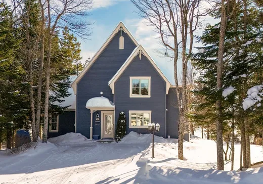 Maison à vendre - 260 Ch. du Lac-des-Trois-Milles N., Ste-Cecile-De-Whitton, G0Y 1J0