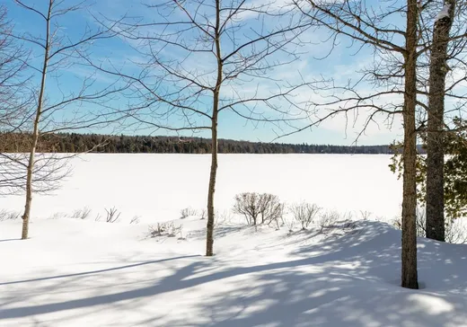 Maison à vendre - 260 Ch. du Lac-des-Trois-Milles N., Ste-Cecile-De-Whitton, G0Y 1J0