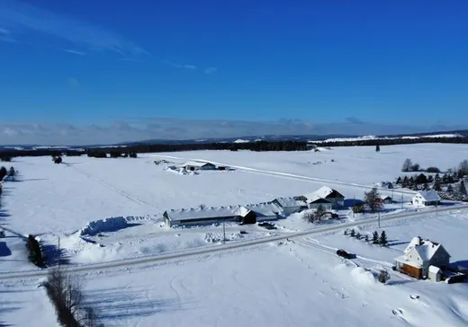 Maison à vendre - 230Z-235Z 2e Rang S., Tring-Jonction, G0N 1X0