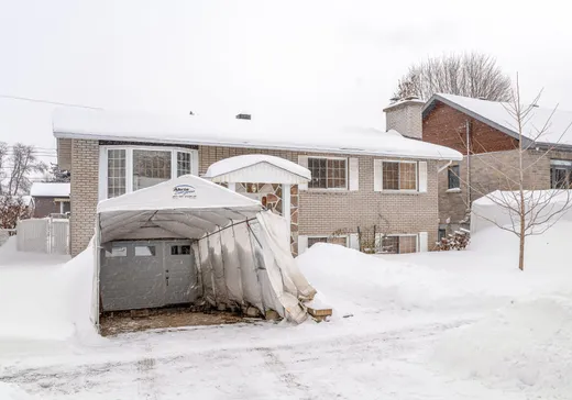 Maison à vendre - 80 Rue des Tilleuls, Montréal (Anjou), H1B 1M9